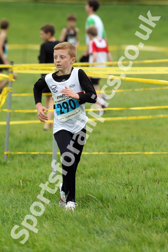 Blue 290, North-East Harriers League, Cramlington